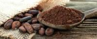 cacao