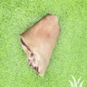 Varkenships hele; Buitenvarken