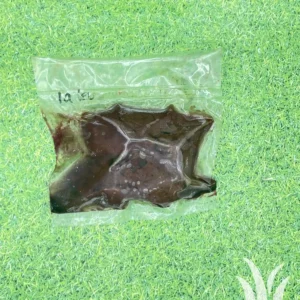 Lamslever Heideschaap