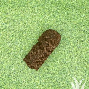 Grilworst rund stuk