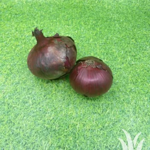 Verse groente rode uien