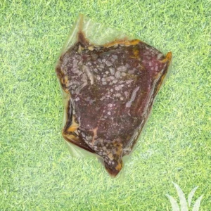 Barbecue rundersteak