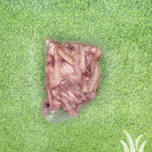 Vleugeltipjes; Graaskip