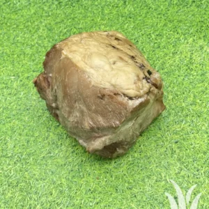 Beenham gebraden aan stuk; Buitenvarken